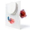 Fish Tank Divider JoyHuaTrade 2-Set Plastic Grid 13x17.3in Large-0