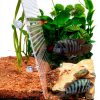 Acrylic Fish Tank Divider Aquarium Divider with 8 Suction Cups Transparent Fish Tank Separator Dividing Net Plate Isolation Board Flapper, 9.84 * 11.81inch-3
