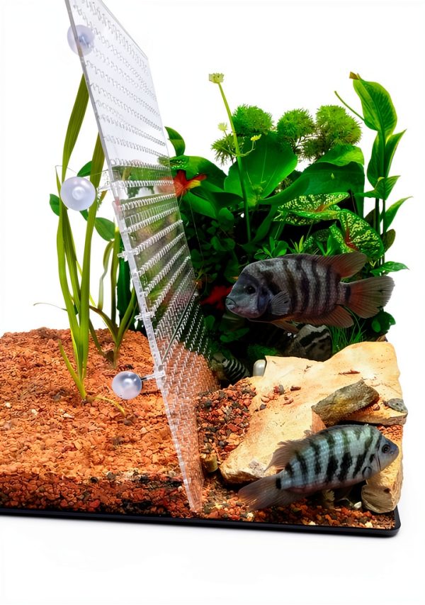 Acrylic Fish Tank Divider Aquarium Divider with 8 Suction Cups Transparent Fish Tank Separator Dividing Net Plate Isolation Board Flapper, 9.84 * 11.81inch-3