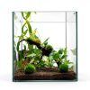 Lifewithpets 20 Gallon Long Aquarium Tank Divider (3 Pack) Check Compatible Tank Below.-1