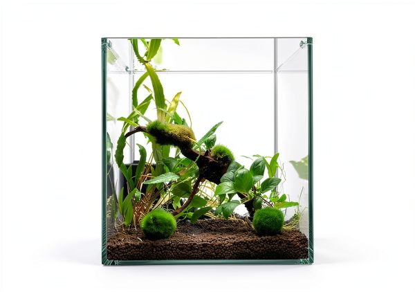 Lifewithpets 20 Gallon Long Aquarium Tank Divider (3 Pack) Check Compatible Tank Below.-1